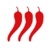 ad pepper media International NV