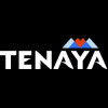 Tenaya Therapeutics Inc